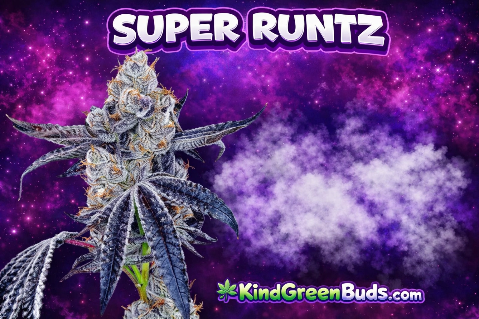 Super Runtz Sticker Super Runtz - Kind Green Buds