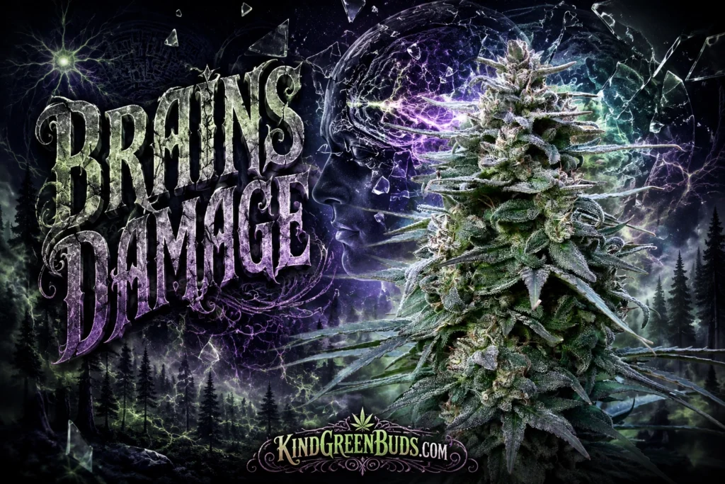 Brains Damage marijuana strain