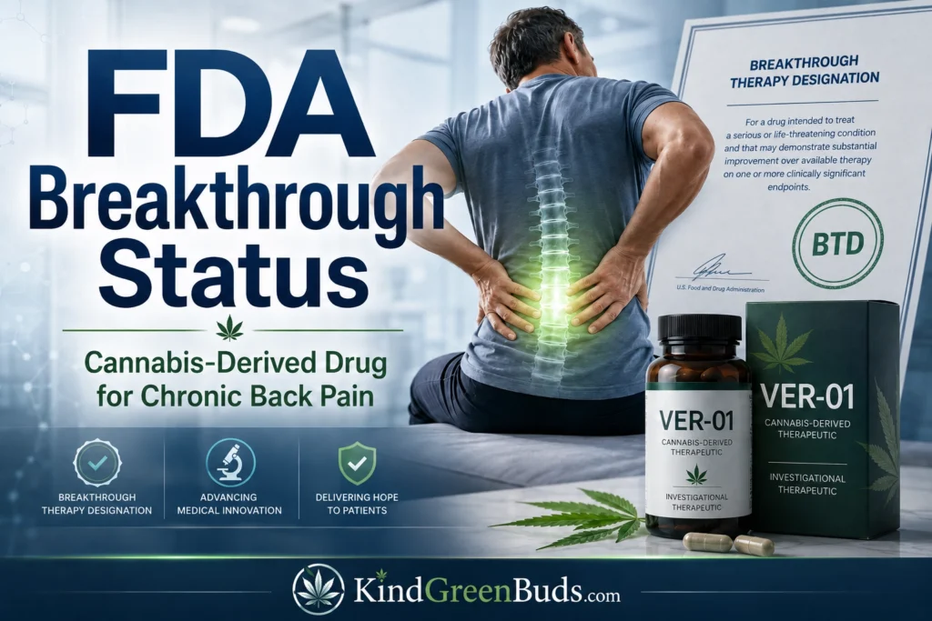 FDA Grants Breakthrough Therapy Status to Cannabis-Derived VER-01 for Chronic Back Pain